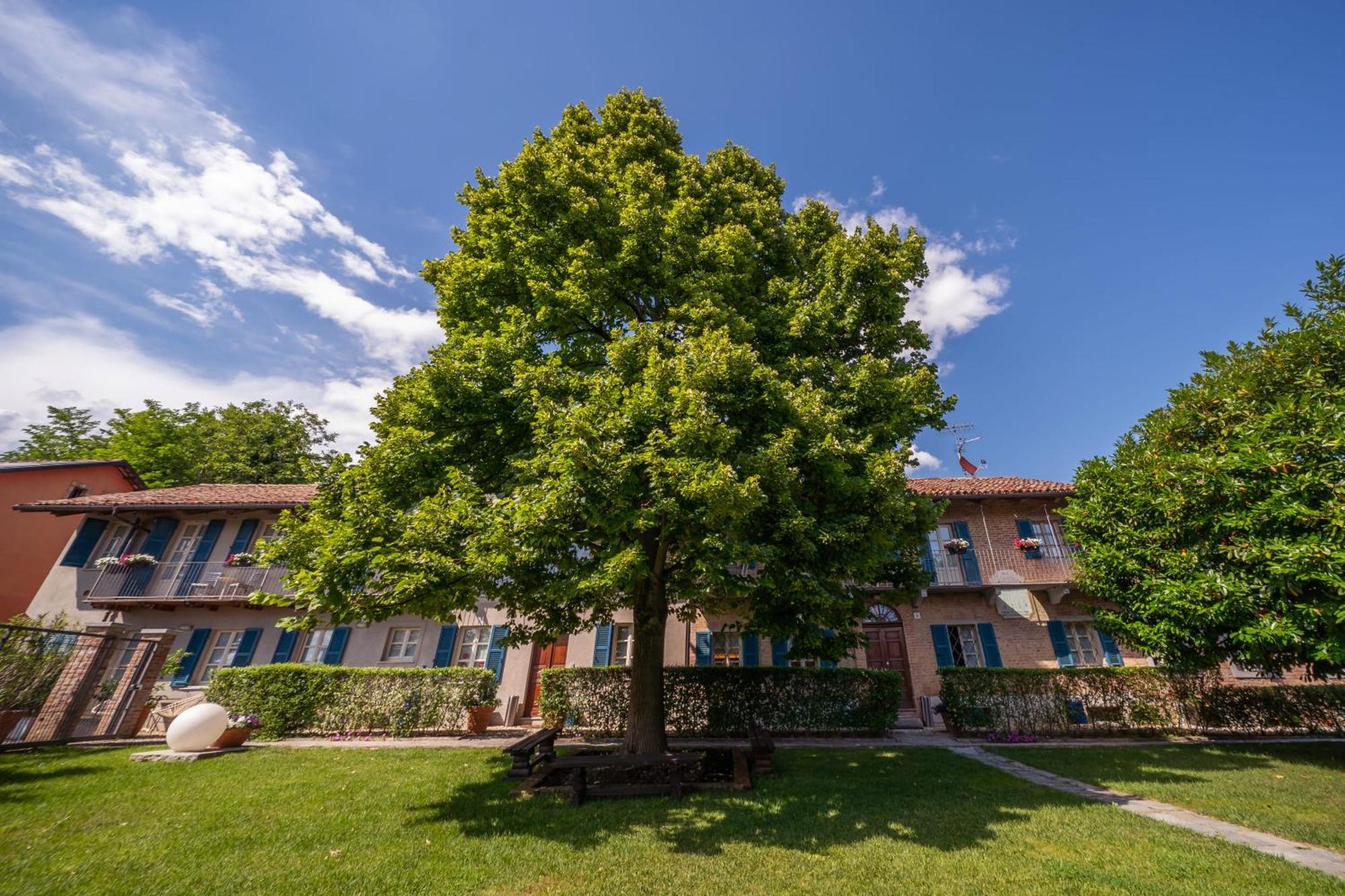 La Madernassa Resort - Casalora Dimora Storica Di Charme Guarene Luaran gambar